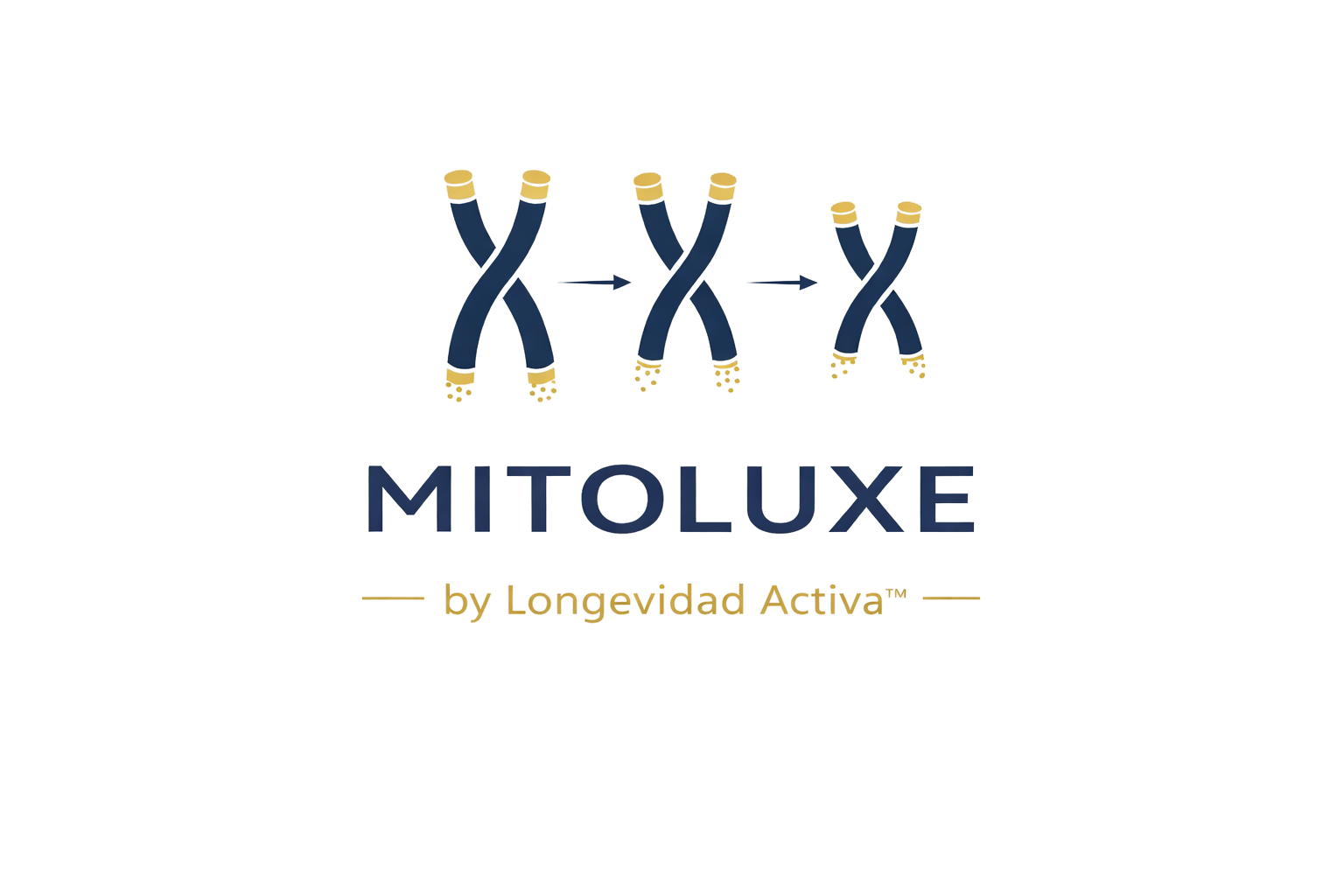 Diseño sin título (12)